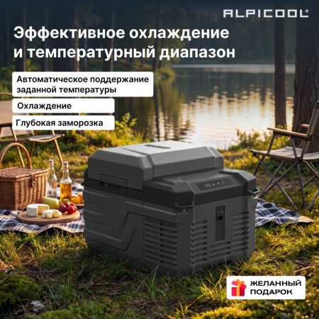 Компрессорный автохолодильник Alpicool NL12 (12/24)